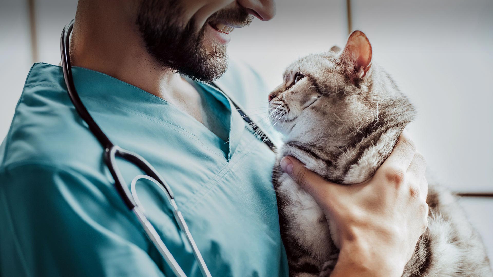 Sivrihisar Veteriner